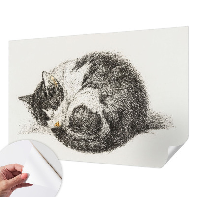Motivtapete nach Maß entzückende Katze