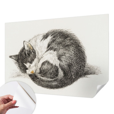 Motivtapete nach Maß entzückende Katze