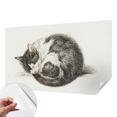 Motivtapete nach Maß entzückende Katze