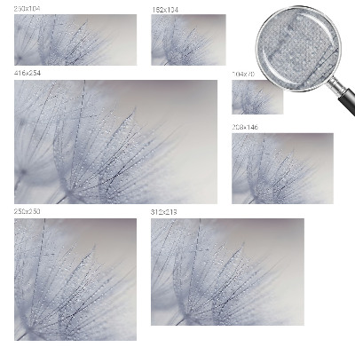 3D-Fototapete fürs Wohnzimmer Taubedeckter Löwenzahn