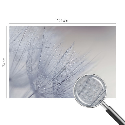 3D-Fototapete fürs Wohnzimmer Taubedeckter Löwenzahn