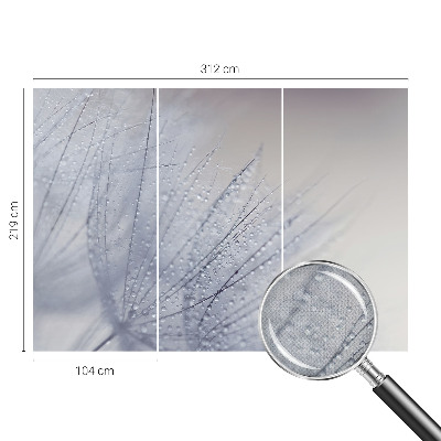 3D-Fototapete fürs Wohnzimmer Taubedeckter Löwenzahn