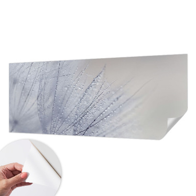 3D-Fototapete fürs Wohnzimmer Taubedeckter Löwenzahn