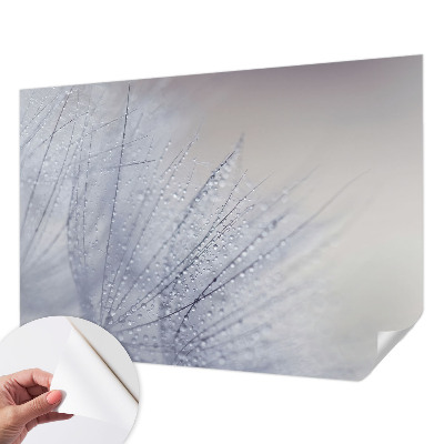 3D-Fototapete fürs Wohnzimmer Taubedeckter Löwenzahn