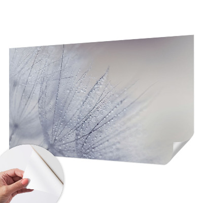 3D-Fototapete fürs Wohnzimmer Taubedeckter Löwenzahn