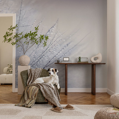 3D-Fototapete fürs Wohnzimmer Taubedeckter Löwenzahn