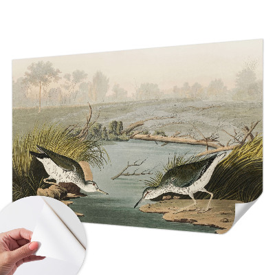 Hochwertige Bildtapete Eine friedliche Landschaft