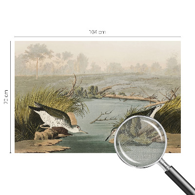 Hochwertige Bildtapete Eine friedliche Landschaft