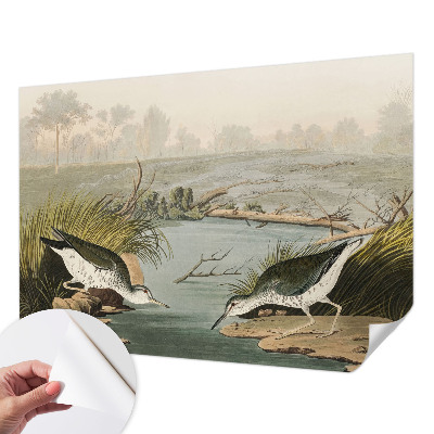 Hochwertige Bildtapete Eine friedliche Landschaft