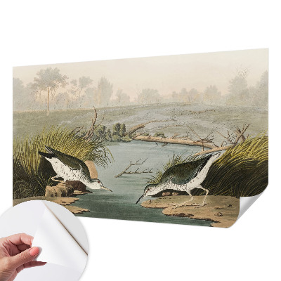 Hochwertige Bildtapete Eine friedliche Landschaft