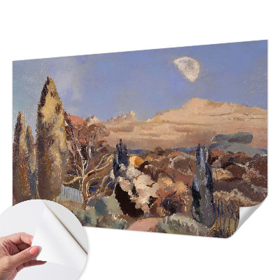 3D-Fototapete Waldlandschaft