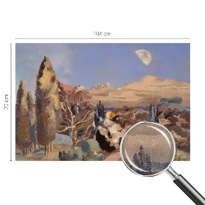3D-Fototapete Waldlandschaft