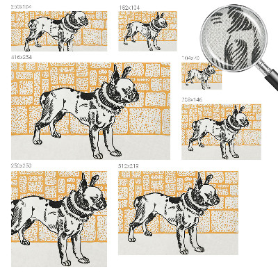 3D-Fototapete fürs Schlafzimmer Retro-Hund