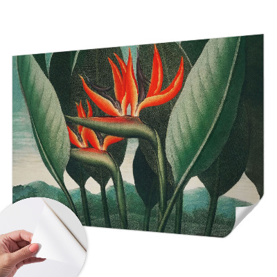 Selbstklebende Fototapete Exotische Blumen