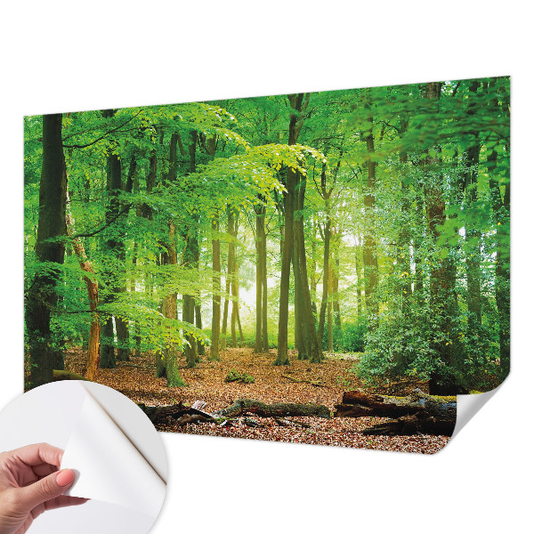 Selbstklebende Fototapete für die Wand Grüner Wald
