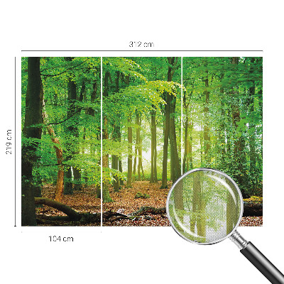 Selbstklebende Fototapete für die Wand Grüner Wald