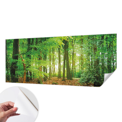 Selbstklebende Fototapete für die Wand Grüner Wald