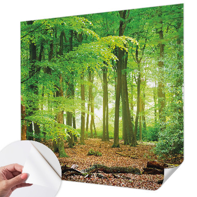 Selbstklebende Fototapete für die Wand Grüner Wald