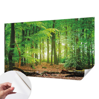 Selbstklebende Fototapete für die Wand Grüner Wald