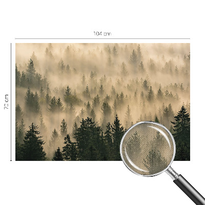 3D-Fototapete fürs Wohnzimmer Waldnebel