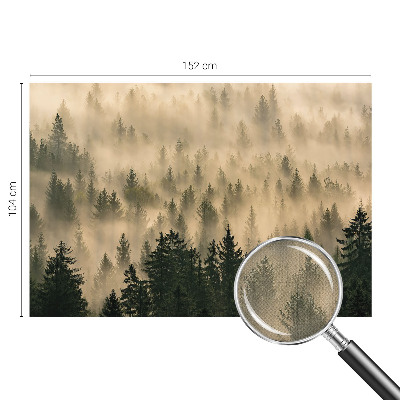3D-Fototapete fürs Wohnzimmer Waldnebel