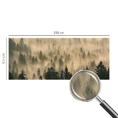3D-Fototapete fürs Wohnzimmer Waldnebel