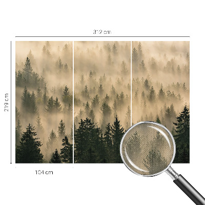 3D-Fototapete fürs Wohnzimmer Waldnebel
