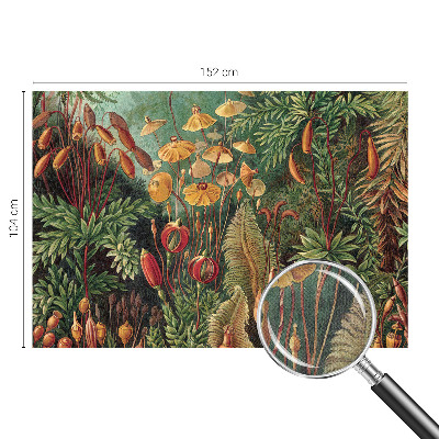 Fototapete nach Maß Exotischer Garten