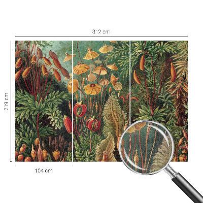 Fototapete nach Maß Exotischer Garten