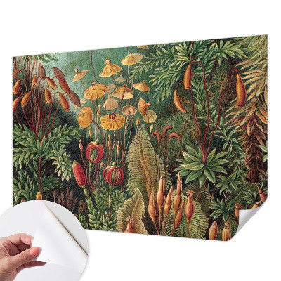 Fototapete nach Maß Exotischer Garten