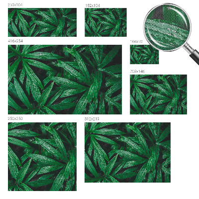 Fototapete nach Maß Natürliches Grün