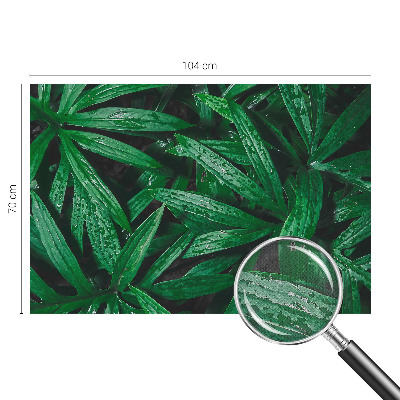 Fototapete nach Maß Natürliches Grün