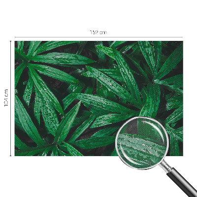 Fototapete nach Maß Natürliches Grün