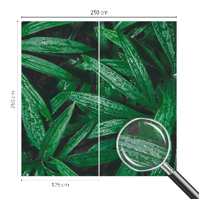 Fototapete nach Maß Natürliches Grün