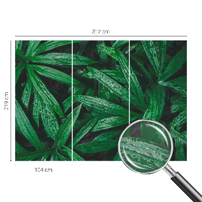 Fototapete nach Maß Natürliches Grün