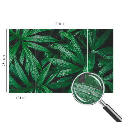 Fototapete nach Maß Natürliches Grün