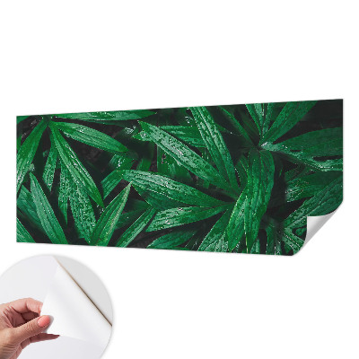 Fototapete nach Maß Natürliches Grün