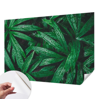 Fototapete nach Maß Natürliches Grün