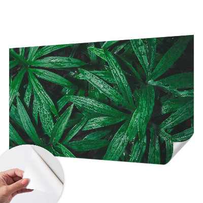 Fototapete nach Maß Natürliches Grün