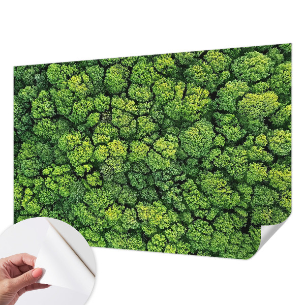 Fototapete nach Maß Waldpanorama