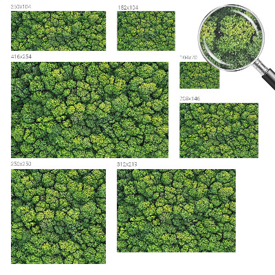 Fototapete nach Maß Waldpanorama