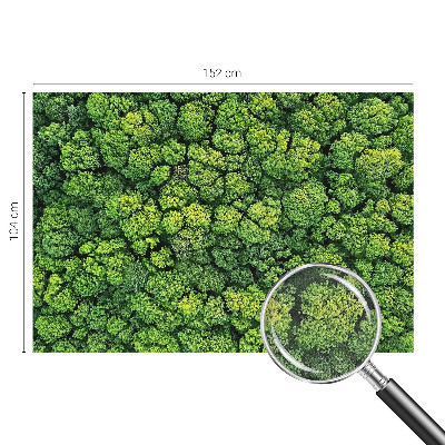 Fototapete nach Maß Waldpanorama