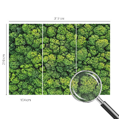 Fototapete nach Maß Waldpanorama