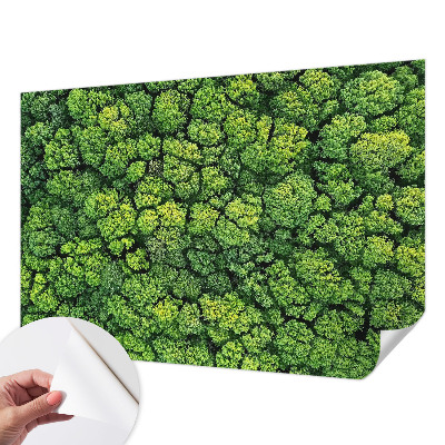 Fototapete nach Maß Waldpanorama