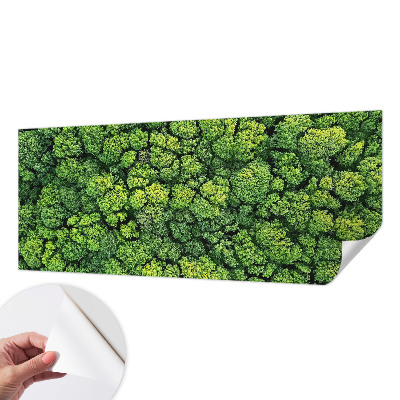 Fototapete nach Maß Waldpanorama