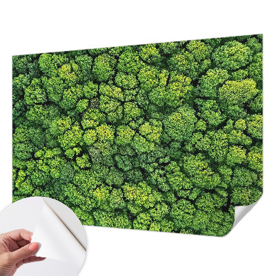 Fototapete nach Maß Waldpanorama