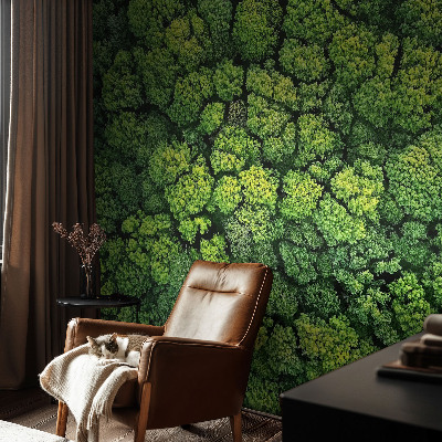 Fototapete nach Maß Waldpanorama