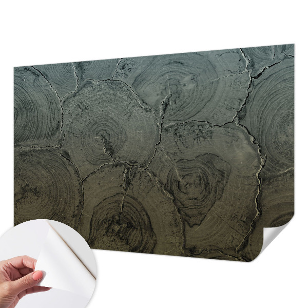 3D-Fototapete fürs Schlafzimmer Holzringe