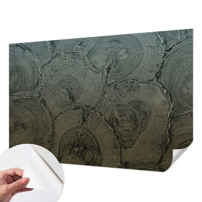 3D-Fototapete fürs Schlafzimmer Holzringe