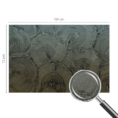 3D-Fototapete fürs Schlafzimmer Holzringe